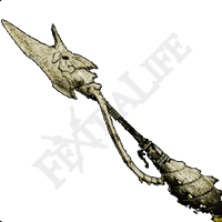 Gravordius